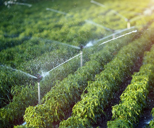 irrigacao-bolsa-agro